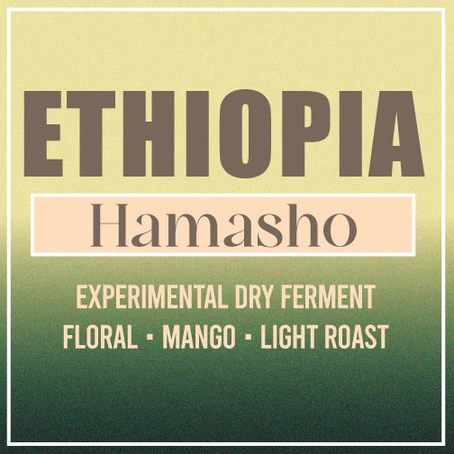 Ethiopia Hamasho Experimental Dry Ferment